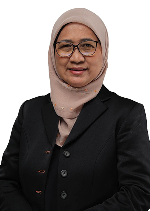 Professor Dr. Noor Ismawati Jaafar